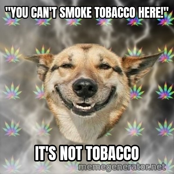 Stoner Dog meme: ''You can't smoke tobacco here!'' / it's not tobacco
