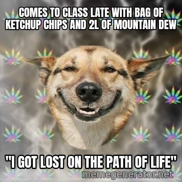 Stoner Dog meme: COMES TO CLASS LATE WITH BAG OF KETCHUP CHIPS AND 2L OF MOUNTAIN DEW / "I got lost on the path of life"