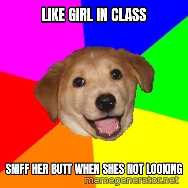 Advice Dog meme: like girl in class / sniff her butt when shes not looking