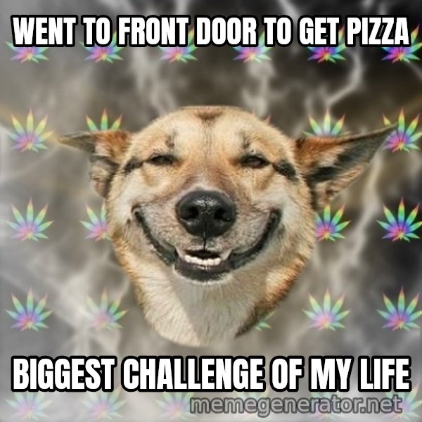 Stoner Dog meme: went to front door to get pizza / biggest challenge of my life