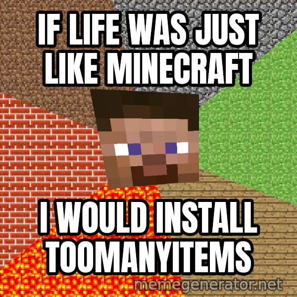 Minecraft Guy meme: IF LIFE WAS JUST LIKE MINECRAFT / I WOULD INSTALL TOOMANYITEMS