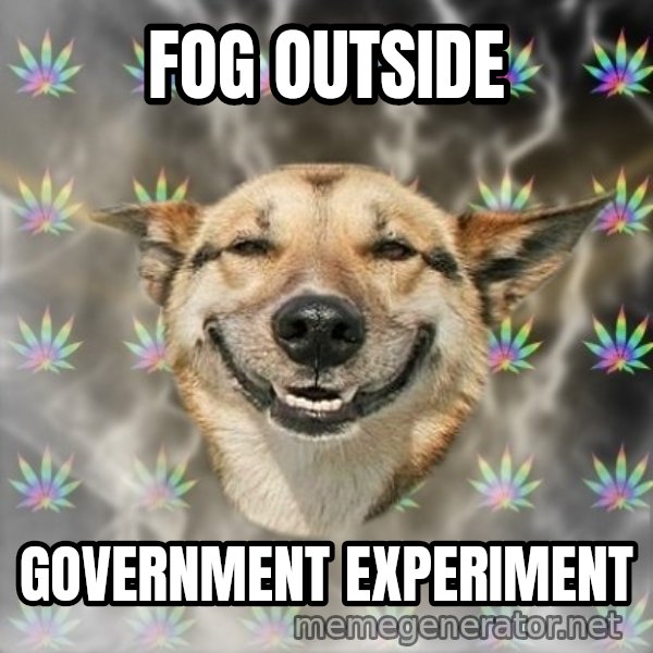 Stoner Dog meme: fog outside / Government experiment