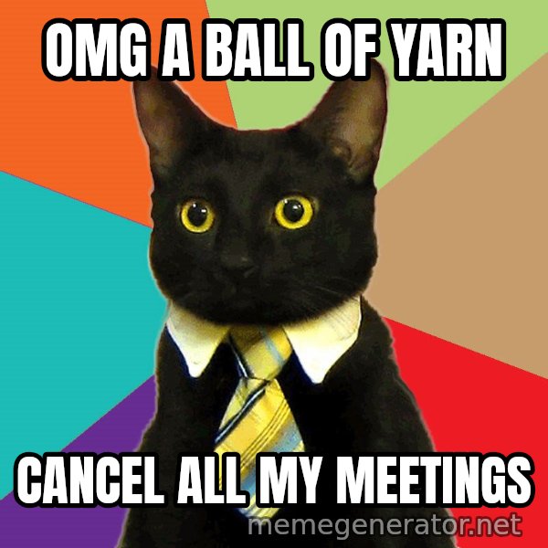 Business Cat meme: OMG A BALL OF YARN / CANCEL ALL MY MEETINGS