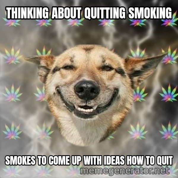 Stoner Dog meme: thinking about quitting smoking / smokes to come up with ideas how to quit