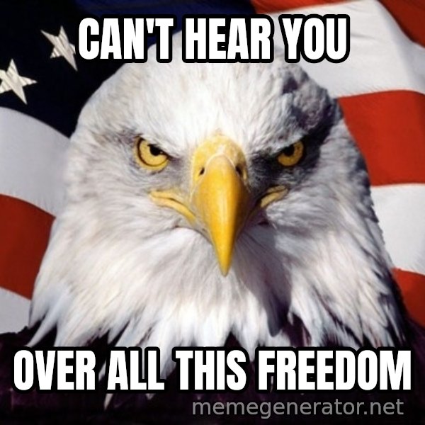 American Pride Eagle meme: can't hear you / over all this freedom