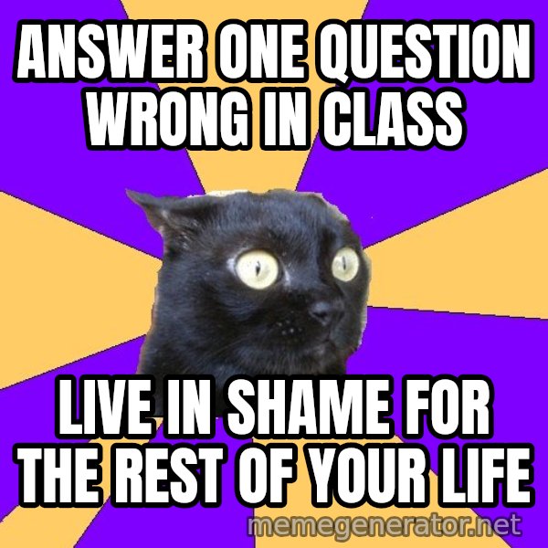 Anxiety Cat meme: answer one question wrong in class / live in shame for the rest of your life