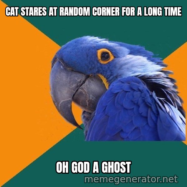 Paranoid Parrot meme: cat stares at random corner for a long time / oh god a ghost