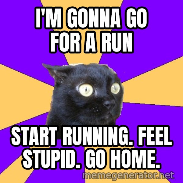 Anxiety Cat meme: I'm gonna go for a run / start running. feel stupid. go home.