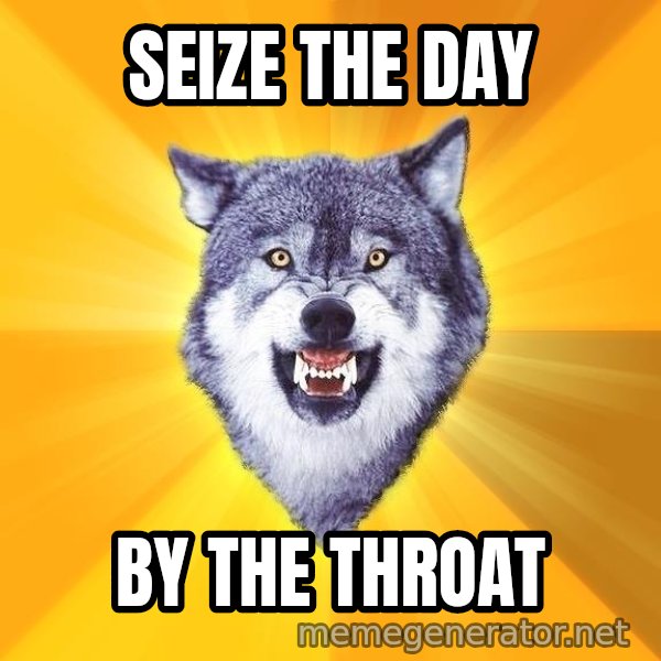 Courage Wolf meme: Seize The DAY / BY THE THROAT