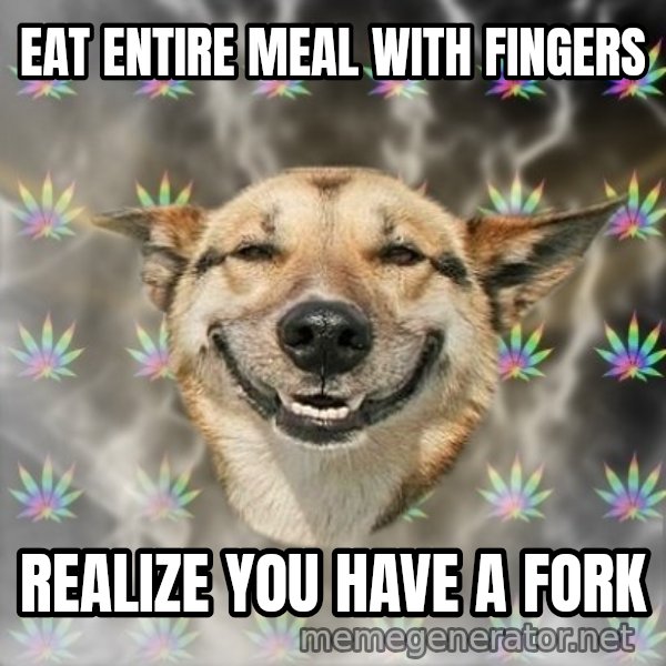 Stoner Dog meme: Eat entire meal with fingers / Realize you have a fork