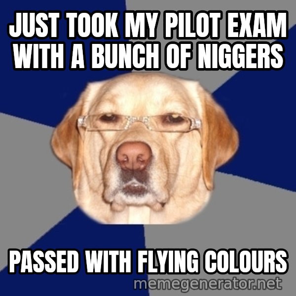 Racist Dog meme: just took my pilot exam with a bunch of niggers / passed with flying colours