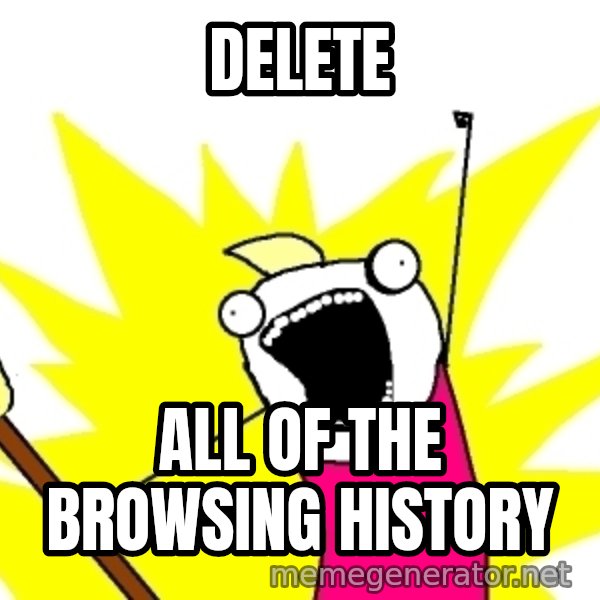X ALL THE THINGS meme: DELETE / ALL OF THE BROWSING HISTORY