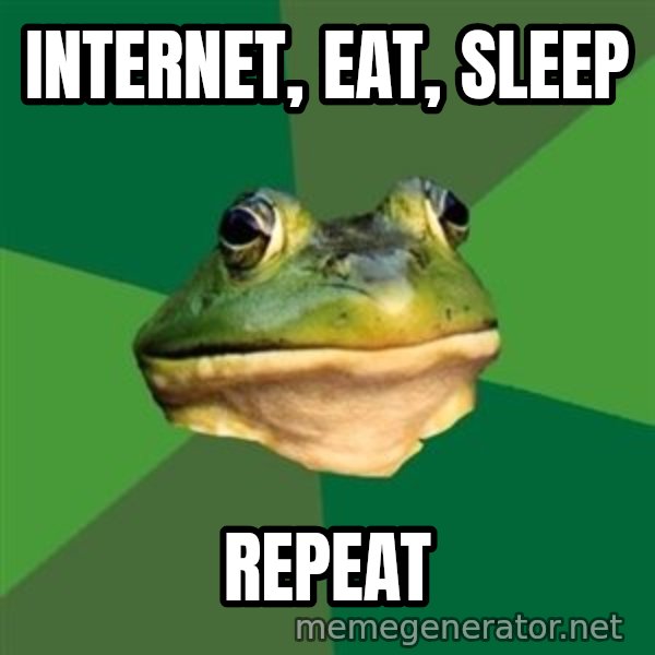 Foul Bachelor Frog meme: Internet, eat, sleep / Repeat