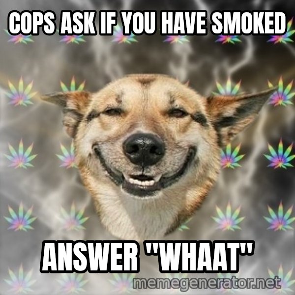 Stoner Dog meme: cops ask if you have smoked / answer ''whaat''