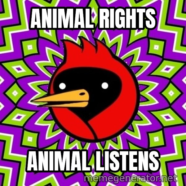 Omsk Crow meme: ANIMAL RIGHTS / ANIMAL LISTENS