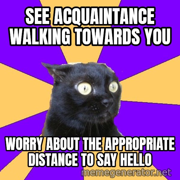 Anxiety Cat meme: see acquaintance walking towards you / worry about the appropriate distance to say hello