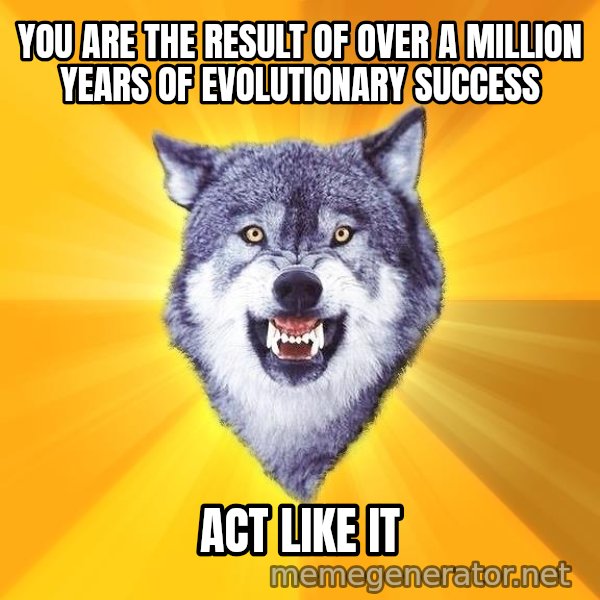 Courage Wolf meme: You are the result of over a million years of evolutionary success / Act Like It