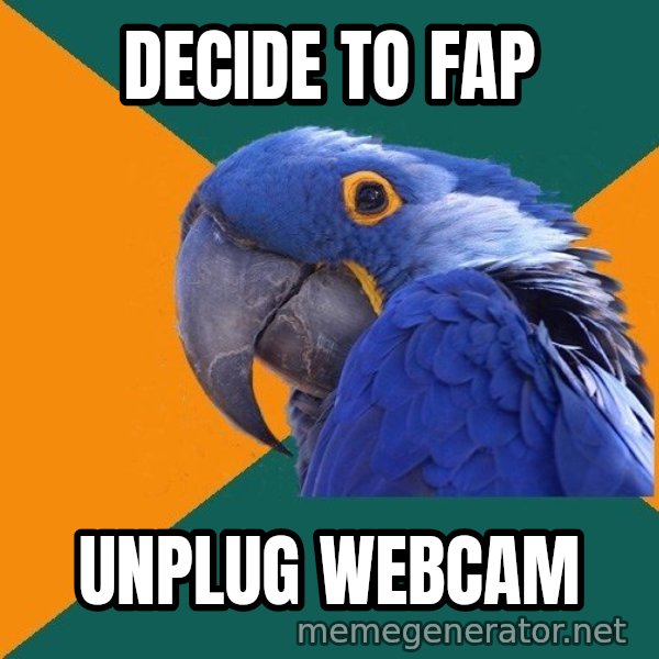 Paranoid Parrot meme: Decide to FAP / UNPLUG WEBCAM