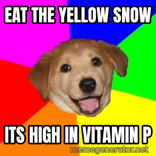 Advice Dog meme: eat the yellow snow / its high in vitamin p