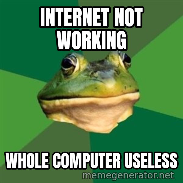 Foul Bachelor Frog meme: Internet not working / whole computer useless