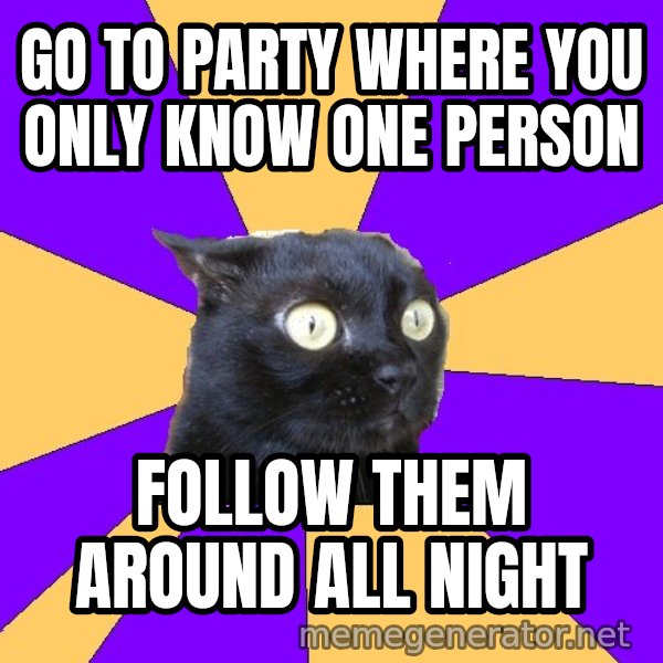Anxiety Cat meme: go to party where you only know one person / Follow them around all night