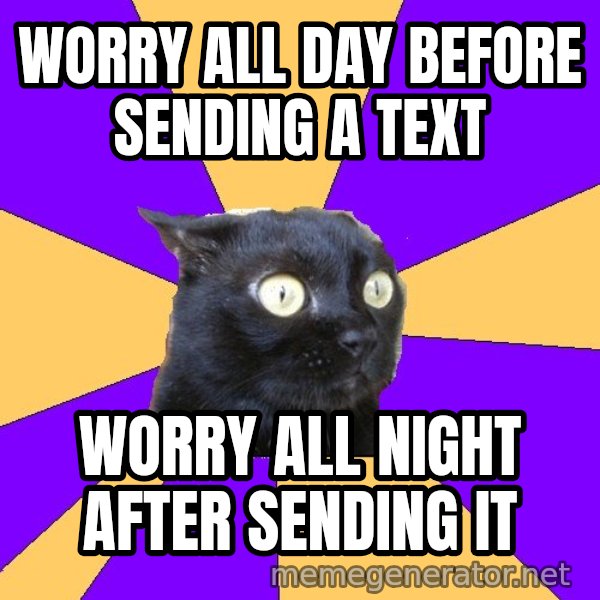 Anxiety Cat meme: Worry all day before sending a text / worry all night after sending it