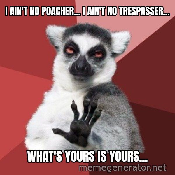 Chill Out Lemur meme: i ain't no poacher... i ain't no trespasser... / what's yours is yours...
