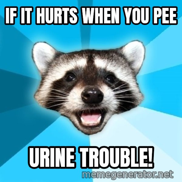 Lame Pun Coon meme: If it Hurts When you pee / Urine trouble!