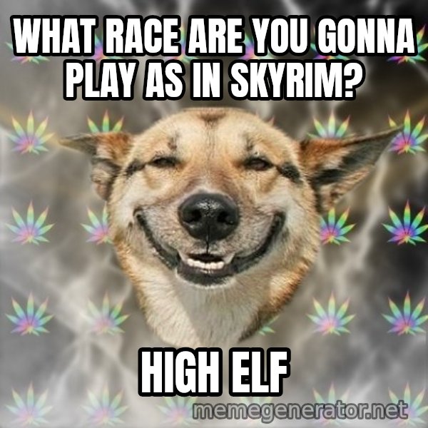 Stoner Dog meme: What race are you gonna play as in skyrim? / high elf