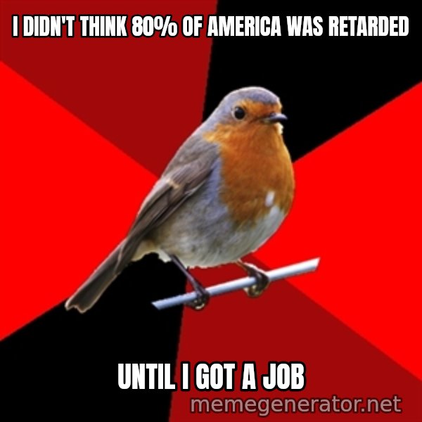 Retail Robin meme: I didn't think 80% of america was retarded / Until I got A job
