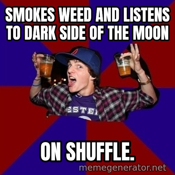 Sunny Student meme: Smokes weed and listens to dark side of the moon / On shuffle.