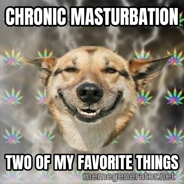 Stoner Dog meme: Chronic Masturbation / two of my favorite things