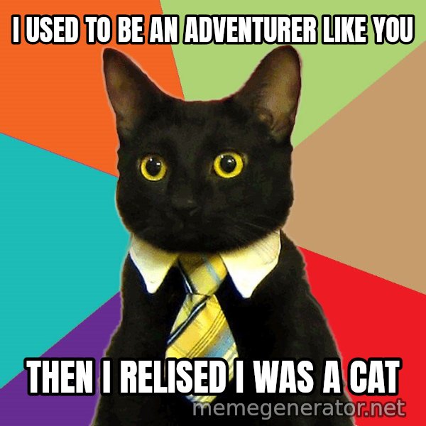 Business Cat meme: i used to be an adventurer like you / then i relised i was a cat