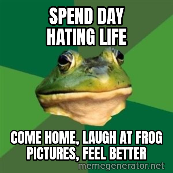 Foul Bachelor Frog meme: spend day hating life / come home, laugh at frog pictures, feel better