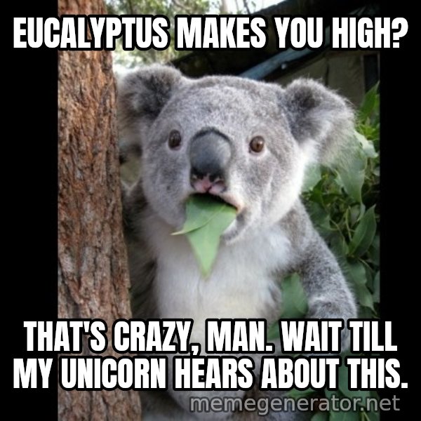 Koala can't believe it meme: Eucalyptus makes you high? / that's crazy, man. wait till my unicorn hears about this.