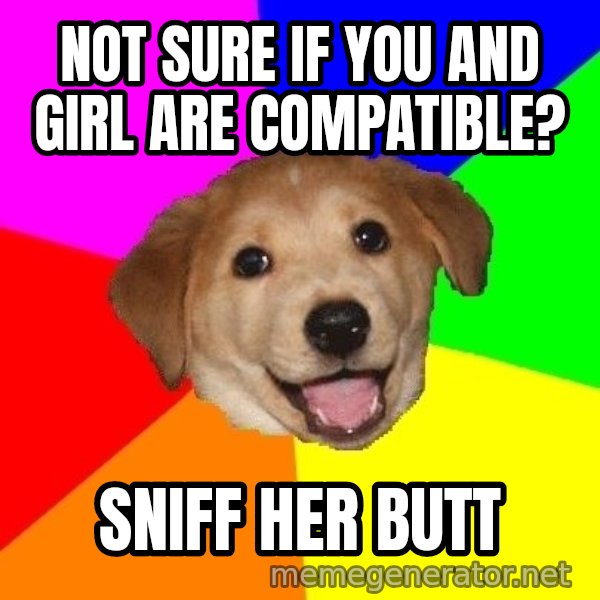 Advice Dog meme: not sure if you and girl are compatible? / sniff her butt