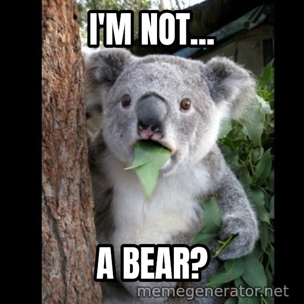 Koala can't believe it meme: i'm not... / a bear?
