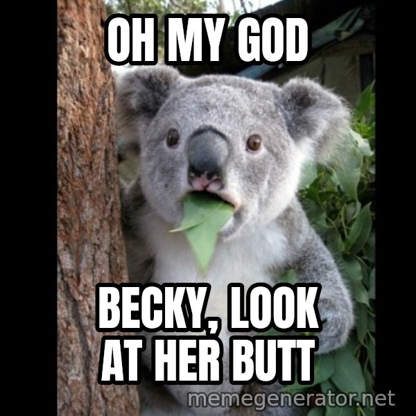 Koala can't believe it meme: OH MY GOD / BECKY, LOOK AT HER BUTT