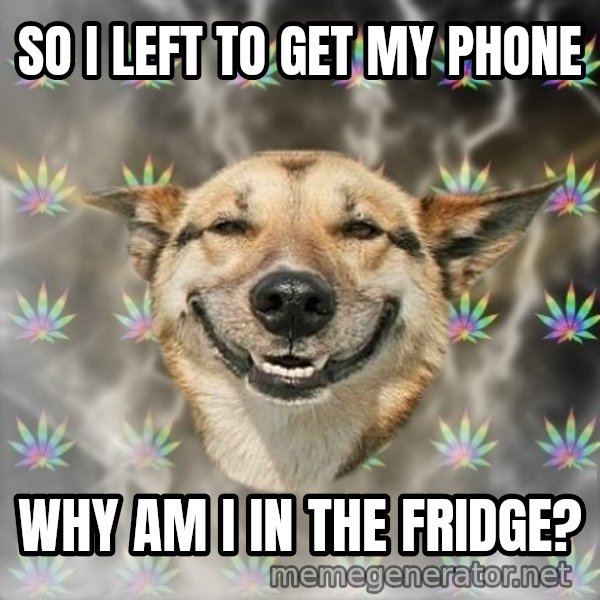 Stoner Dog meme: so i left to get my phone / why am i in the fridge?
