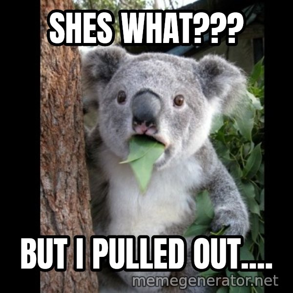 Koala can't believe it meme: shes what??? / but i pulled out....