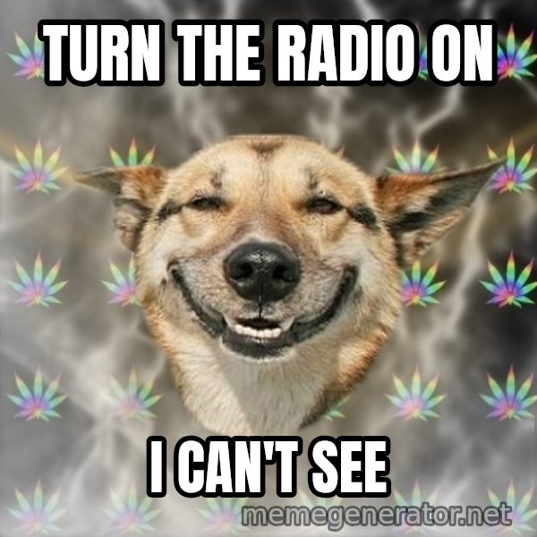 Stoner Dog meme: Turn THE RADIO ON / I can't SEE