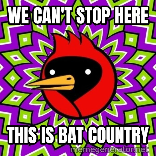 Omsk Crow meme: We can't stop here / This is bat country