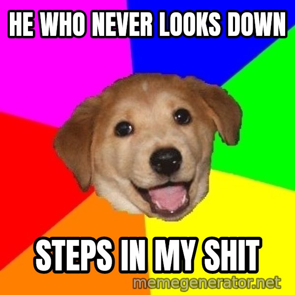 Advice Dog meme: he who never looks down / steps in my shit