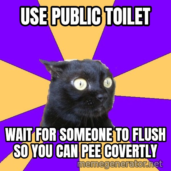 Anxiety Cat meme: USE PUBLIC TOILET / WAIT FOR SOMEone TO FLUSH SO YOU CAN PEE COVERTLY