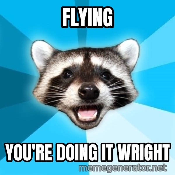 Lame Pun Coon meme: Flying / you're doing it wright
