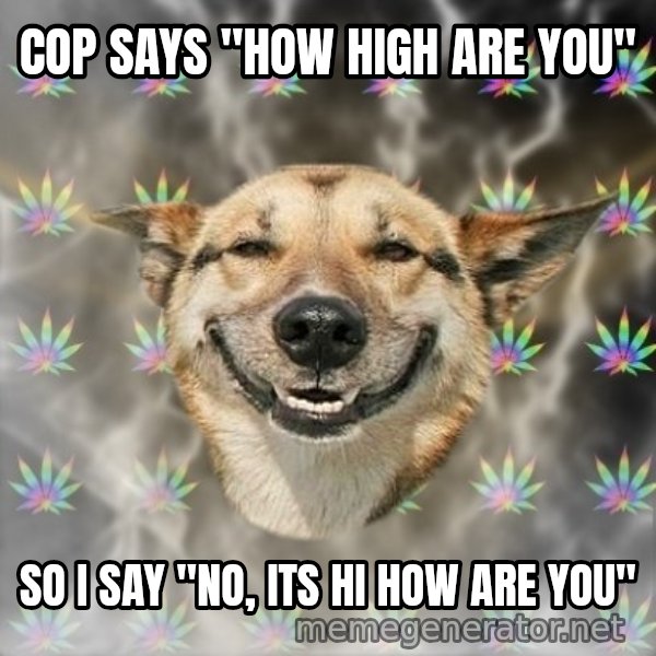 Stoner Dog meme: Cop says "how high are you" / so i say "No, its hi how are you"