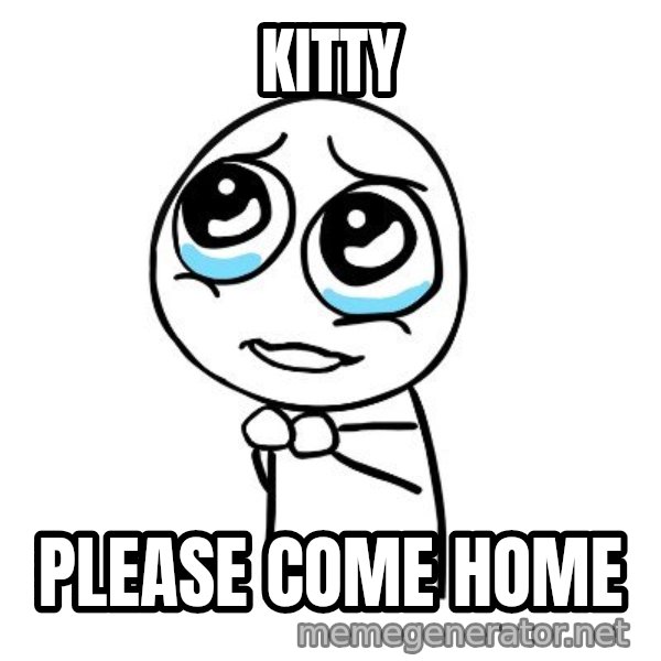 pleaseguy  meme: Kitty / Please Come home