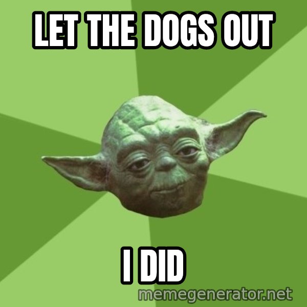 Advice Yoda Gives meme: Let the dogs out / I did