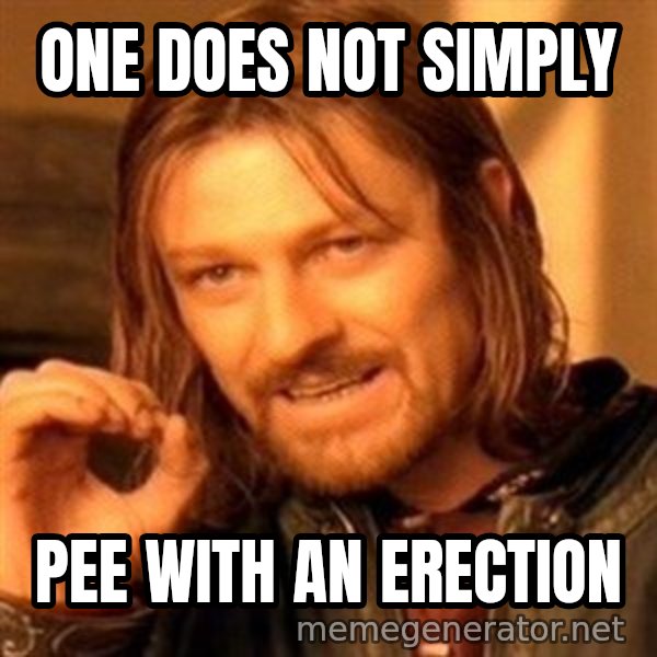 One Does Not Simply meme: one does not simply / pee with an erection
