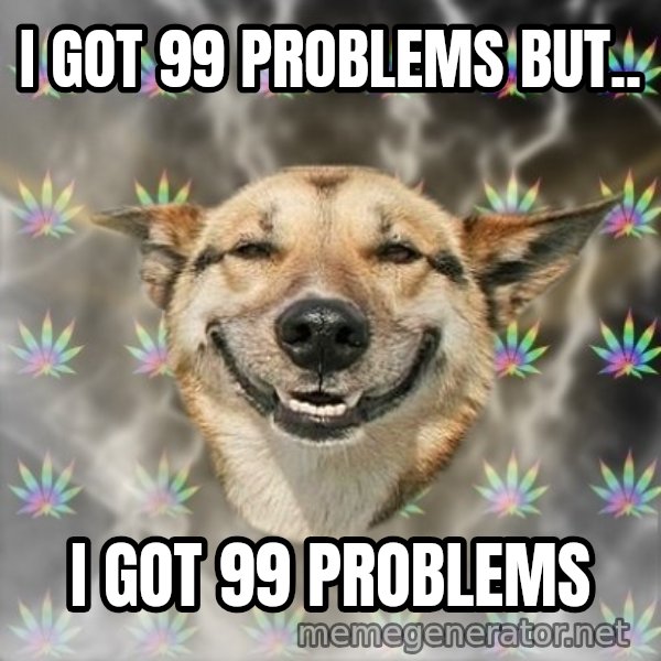 Stoner Dog meme: I got 99 problems but.. / i got 99 problems